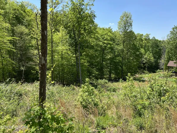 33 Timber Creek Rd #33, Maynardville, TN 37807