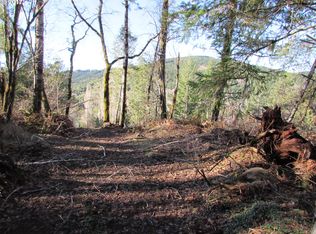 17675 Lewis Creek Rd, Brookings, OR 97415