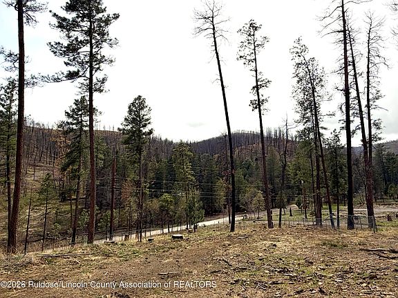 4th image of 100 Sonora Loop