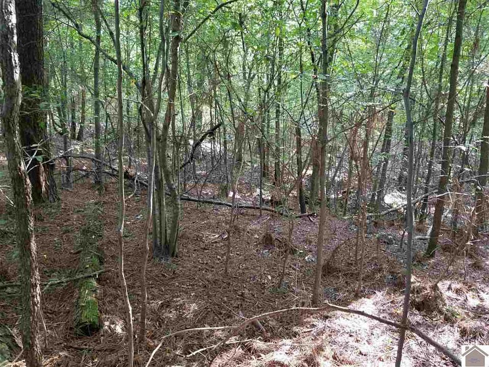 2nd image of Moors Camp Hwy