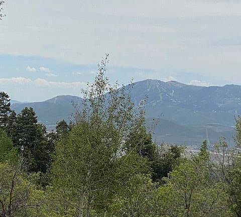 4th image of 2604 S Forest Meadow Rd