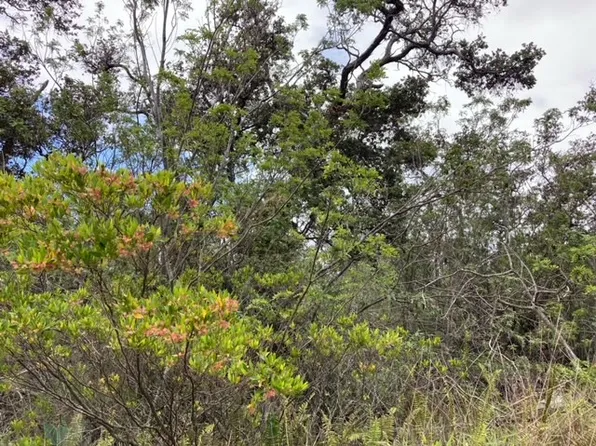 Luau Dr Lot 6, Ocean View, HI 96737