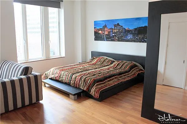 Rented by Platinum Properties | media 10