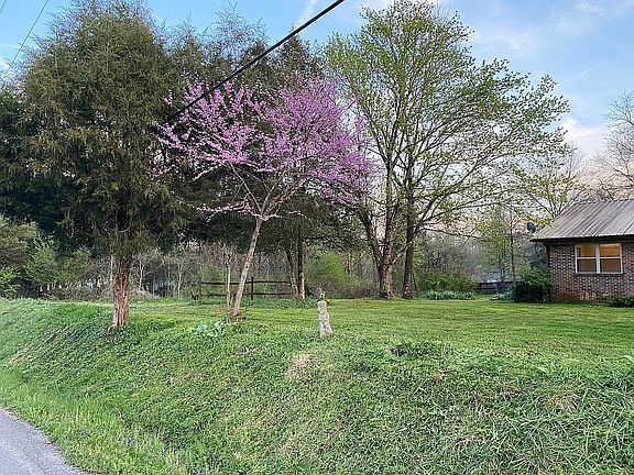 Front yard 