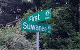 2nd image of L27-32 Suwanee Ave