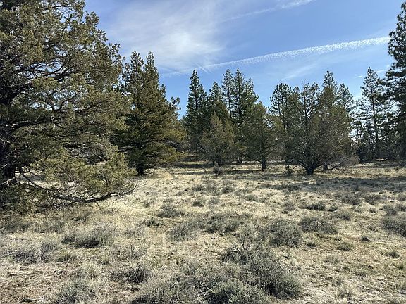 2nd image of Yellow Jacket Springs Rd