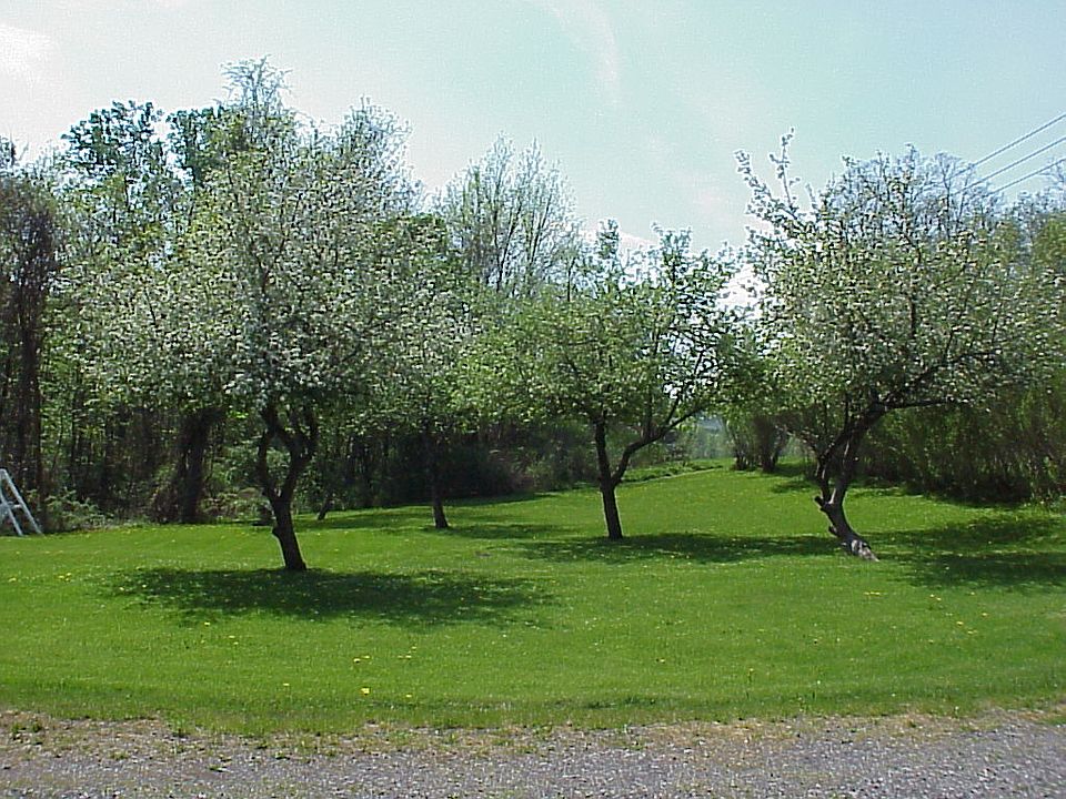 1st image of 5903 State Route 64