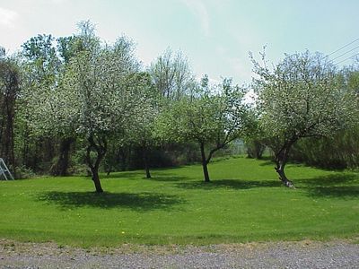 5903 State Route 64, Canandaigua, NY, 14424