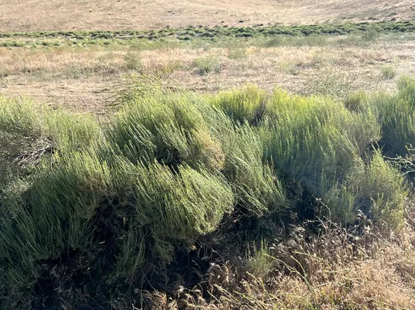 0 Dugan Dr #343, Tehachapi, CA 93561