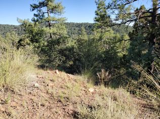9847 W Coyote Dr, Strawberry, AZ 85544