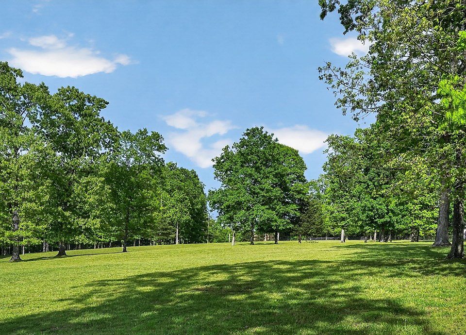 13th image of 933 John Henry Lewis Rd