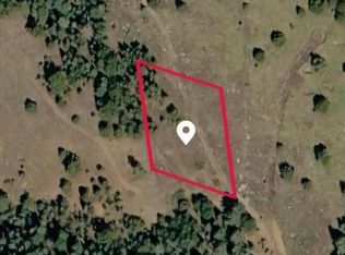 538 Anges Drive, Cripple Creek, CO 80813