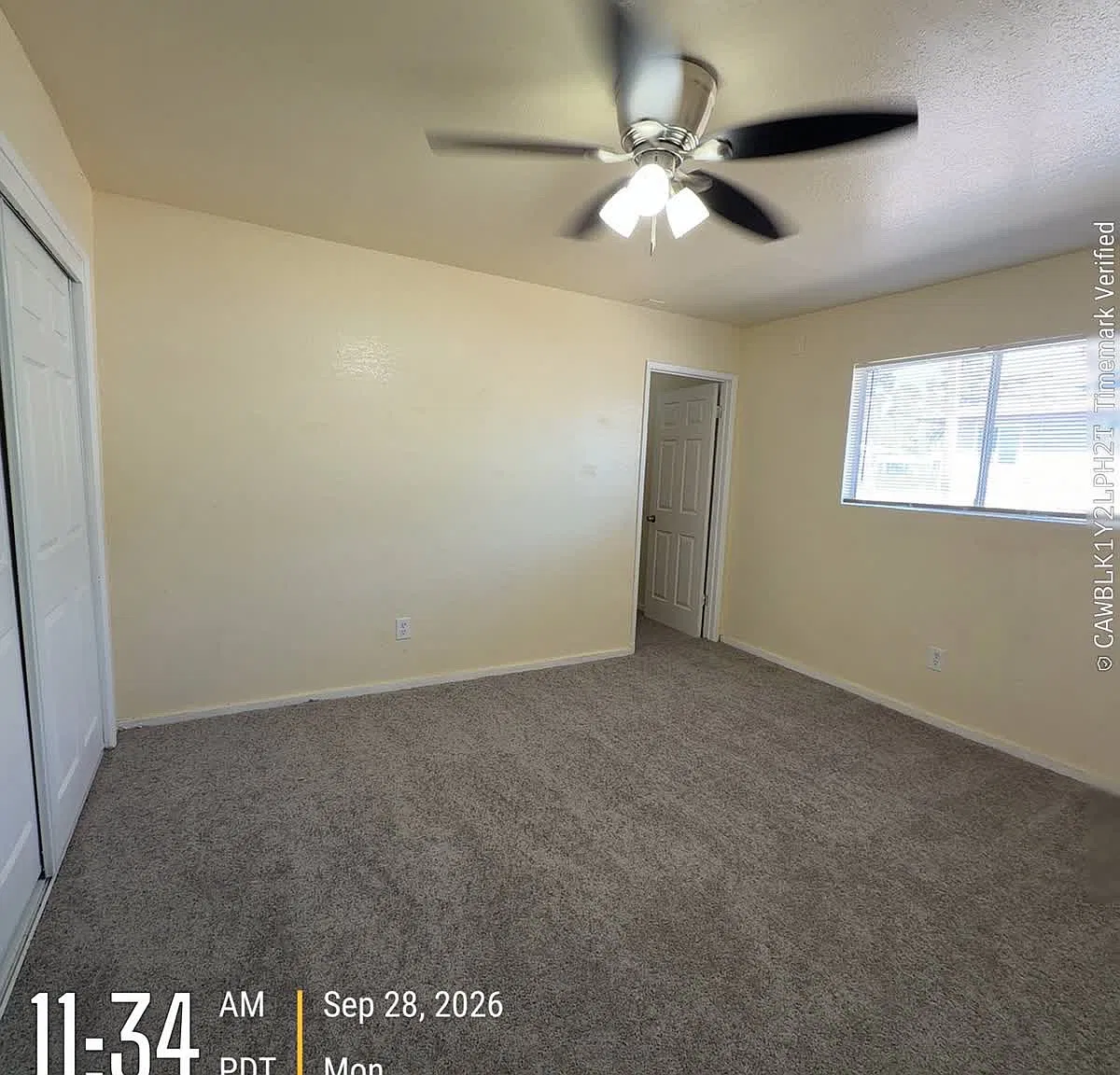 2 bed, $1,095 — Photo 4