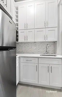 Rented by Triplemint | media 6