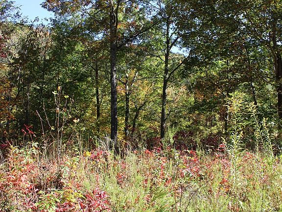 2nd image of LOT 27 Long Creek Preserve