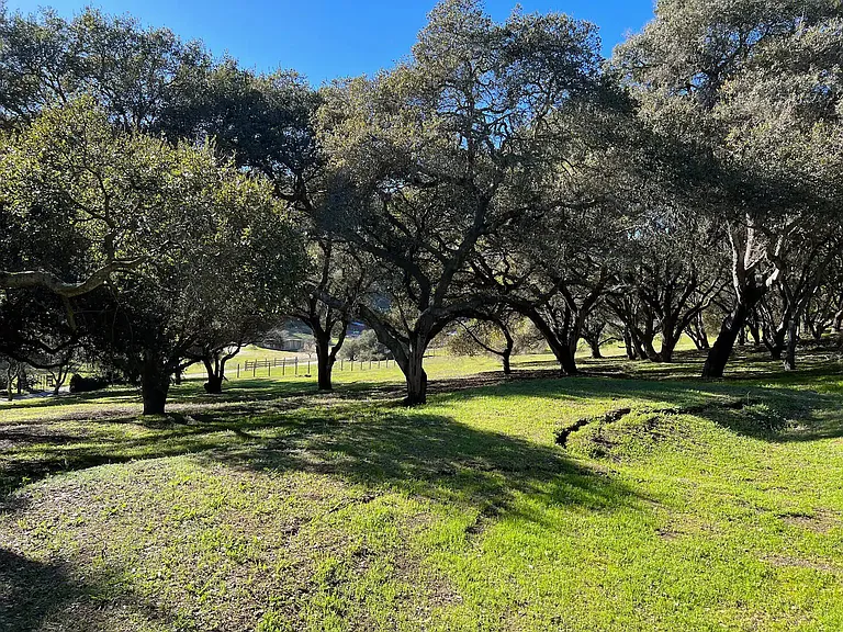 Hambey Ln — Photo 31