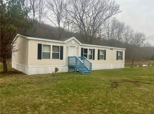 46 Light Rd, Brooktondale, NY 14817