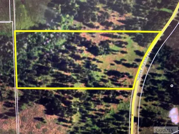 4037 Sweet Alyssa Ln, Island Park, ID 83429