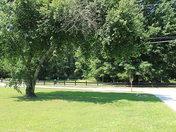Front yard /across street