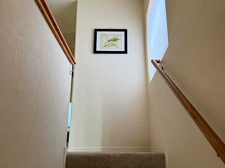 42 Scratch Ct — Photo 6