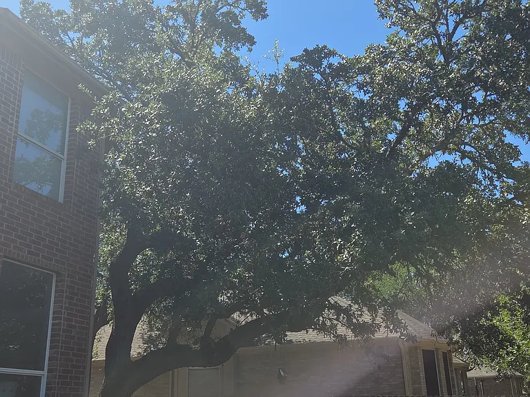 2524 Woodbridge Way — Photo 30