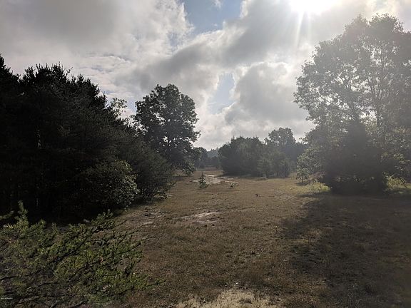 4th image of 4957 S Newcosta Ave