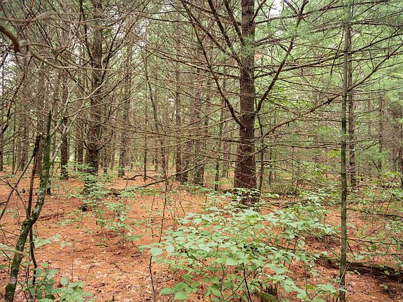 3rd image of 43 Morros Mile Rd