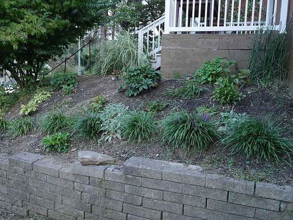 Perennial flowerbeds