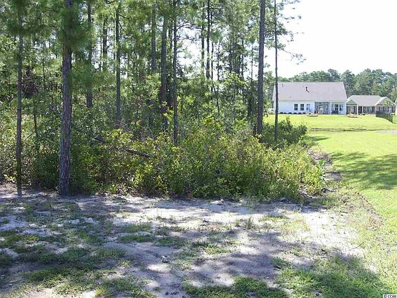 2nd image of 313 Babylon Pine Dr. Lot 164 Sago Plantation @ Legends