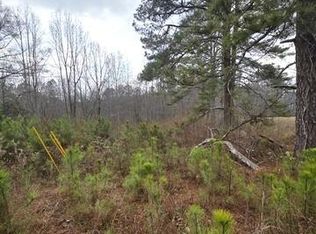 5534 Steadman Rd, Buchanan, GA 30113