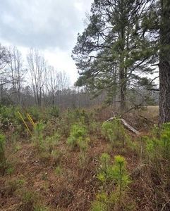 5534 Steadman Rd, Buchanan, GA, 30113