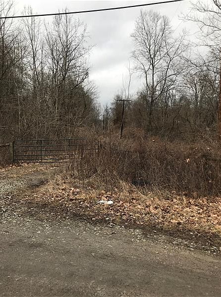 2nd image of 0 Allison Rd