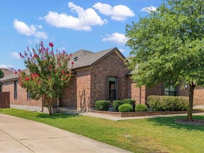 19128 Pencil Cactus Dr, Pflugerville, TX, 78660