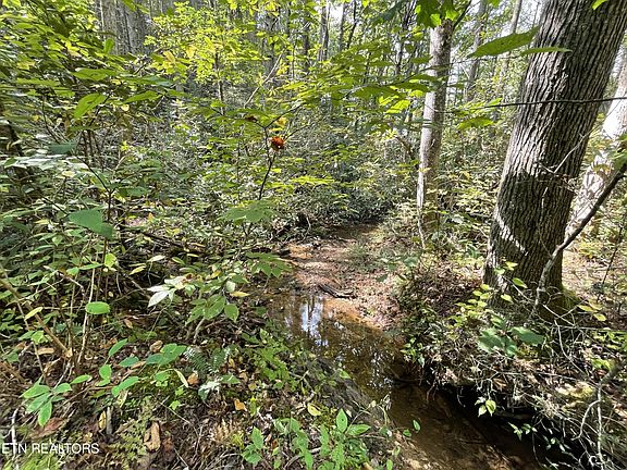 3rd image of 16 Steer Creek Rd Lot 16