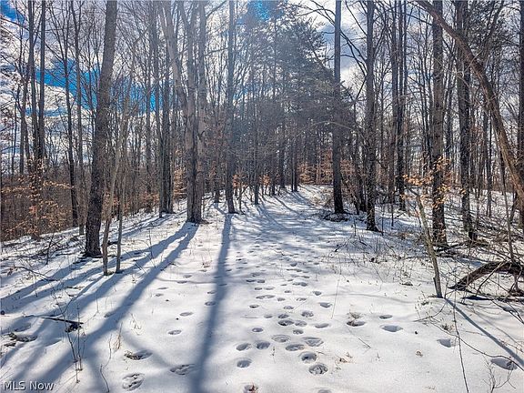 3rd image of 0 Ayers Ridge Rd Tract 13