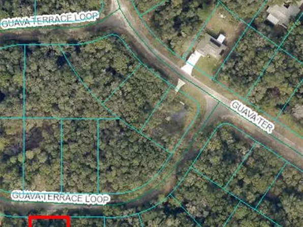 0 Guava Terrace Pl #9, Ocklawaha, FL 32179