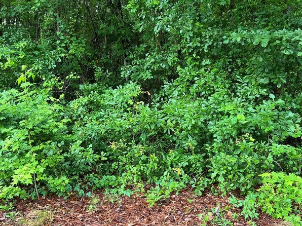 2166 Tanglewood Rd, Sumter, SC 29154