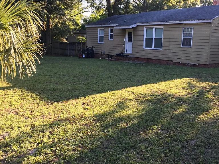 back yard