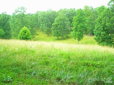 19 ACRES FENCED W/POND!