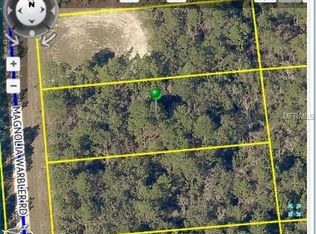16064 Magnolia Warbler Rd, Weeki Wachee, FL 34614