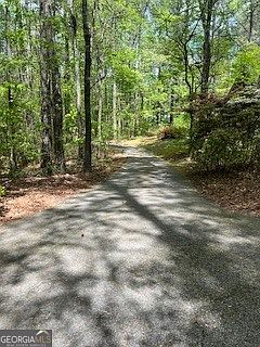 4th image of 1301 Bob Hunton Rd