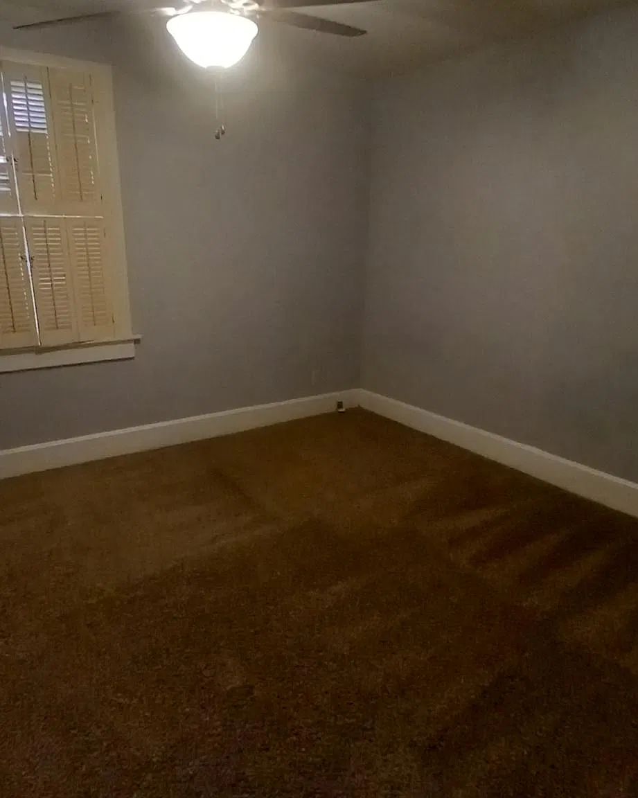 1 bed, $850 — Photo 3