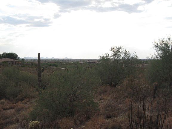 West neighbor (none)