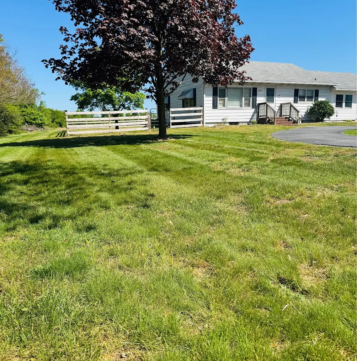 3 bed, 1550 sqft, $2,600 — Photo 1