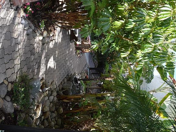garden area
