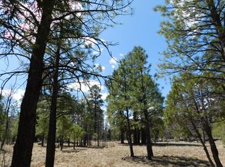 1271 Sunrise Pl, Happy Jack, AZ 86024