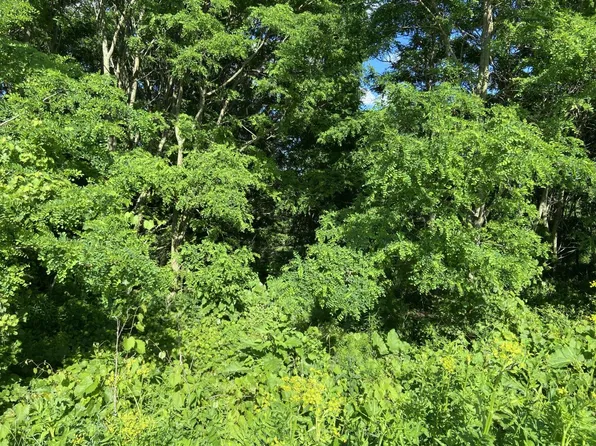 7344 TRADING POST TRAIL, West Bend, WI 53090