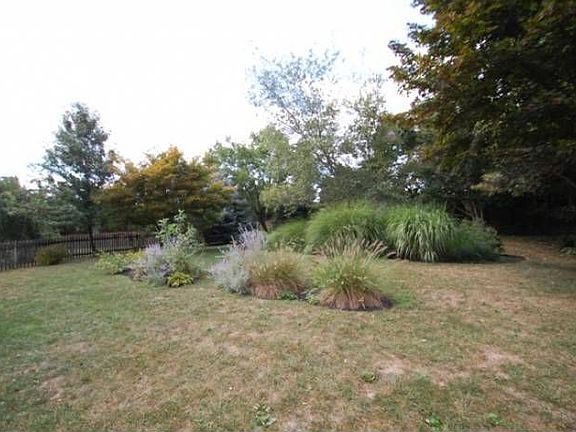 Rear Yard