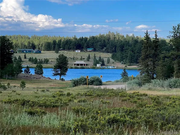6520 County Road 98 LOT 01, Florissant, CO 80816
