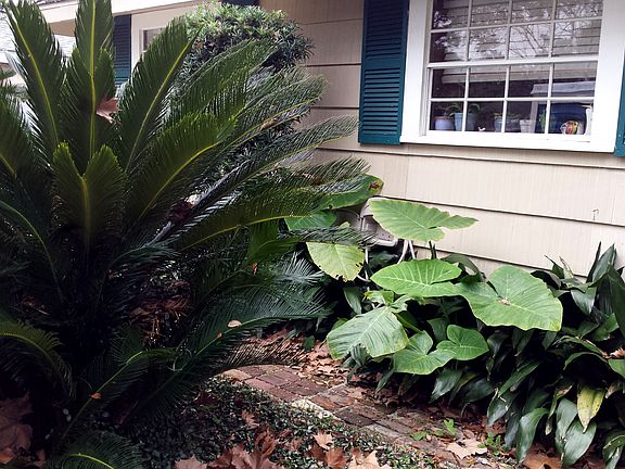 2nd image of 205 Brunswick Ct